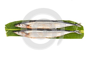 Fresh Japanese Sanma fish on leaf