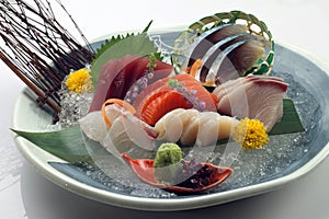 Fresh Japanese sashimi set