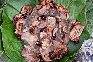 Fresh Jelly ear mushrooms or Wood ear mushrooms (Auricularia auricula-judae) on green leaf