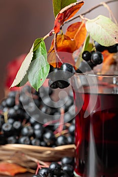 Fresh juice of ripe black chokeberry in glass and berries with l