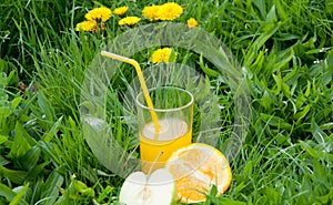 Fresh juice in glass staying on green grass with yellow dandelions near half of apple and orange