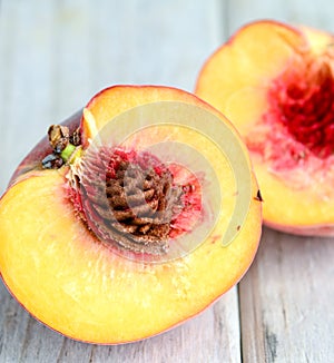 Fresh juicy apricots closeup