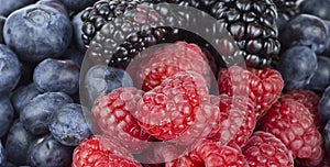 Fresh Juicy Berries Mix
