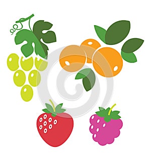 Fresh juicy berries, raspberry, strawberries, grapes, sea buckthorn with leaves, isolated on white, vector illustration