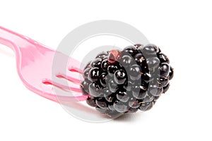 Fresh juicy blackberrie on a pink fork