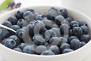 Fresh juicy blueberries