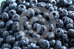 Fresh juicy blueberries background. Flat lay top view copy space. Healthy berry, organic food, antioxidant, vitamin, blue food