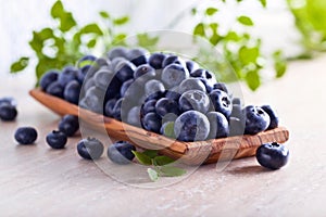 Fresh juicy blueberries with green leaves on a kitchen table .