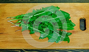 Fresh juicy bright green dandelion leaves for salad on a wooden cutting board