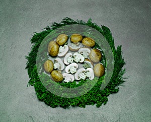 Fresh juicy chopped champignons, beautifully located with fresh greenery in the form of a round frame on a gray background