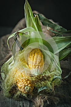 Fresh juicy corn with leaves on a wooden table. Autumn background. Selective focus.