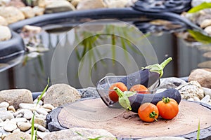 Fresh juicy eggplants and tomatoes on the background of a small pond