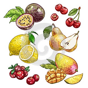 Fresh and juicy fruits set 2. hand drawn illustration