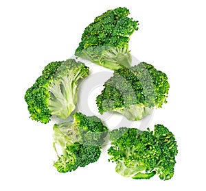 Fresh Juicy Green Broccoli on White Background