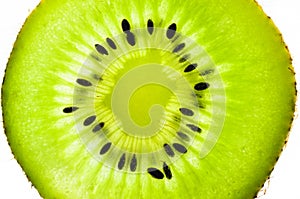 Fresh juicy kiwi fruit slice