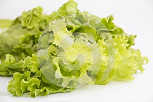 Fresh juicy lettuce leaves