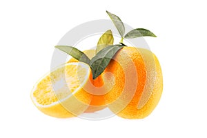 Fresh juicy oranges