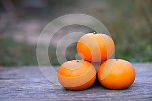 fresh and juicy oranges outdoors