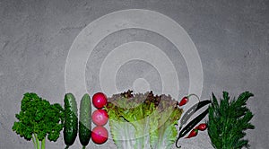Fresh juicy parsley and dill leaves, cucumbers, radish, hot pepper and lettuce leaves in the form of a frame on a gray background