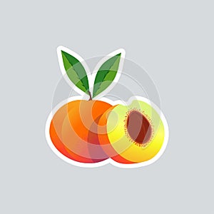 Fresh juicy peach icon tasty ripe fruit sticker healthy food concept