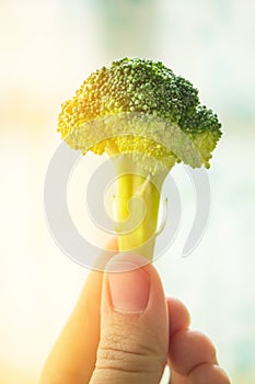 The fresh juicy piece of broccoli is in women`s hand