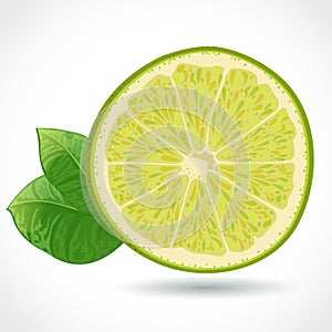 Fresh juicy piece of lime