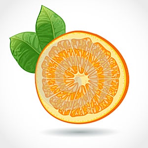 Fresh juicy piece of orange