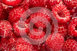 Fresh juicy raspberries in water closeup. Organic healthy food. Sweet berries.