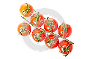 Fresh juicy red cherry tomato bunch closeup isolated on white background.