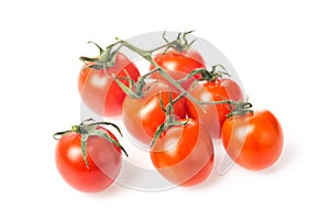 Fresh juicy red cherry tomato bunch closeup isolated on white background.