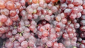 Fresh juicy red grape