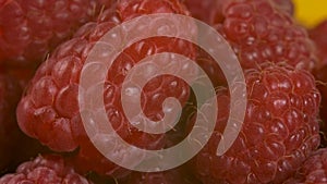 Fresh and juicy ripe raspberries