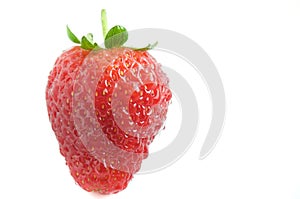 Fresh juicy strawberry