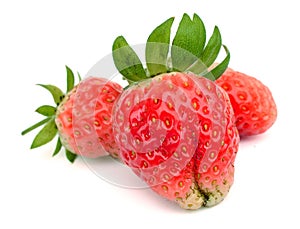 Fresh juicy strawberry with green leaves isolated.