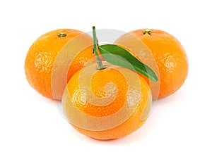 Fresh juicy tangerine