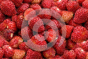 Fresh, juicy, tasty red strawberry close-up.