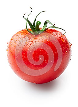 Fresh juicy tomato