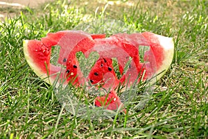 Fresh juicy watermelon slice