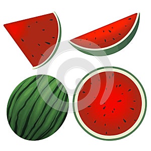 Fresh and juicy whole watermelons and slices on white background