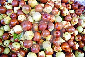 Fresh jujube