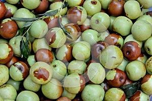 Fresh jujube