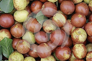 fresh Jujubes/date