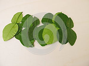 Fresh kaffir lime leaves