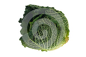 Fresh kale