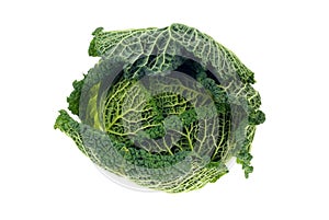 Fresh kale