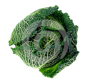 Fresh kale isolated