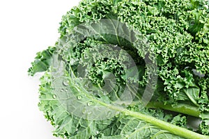 Fresh kale on white background