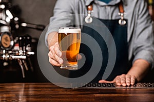 Fresh keg beer. Bartender in apron holds out a glass of light ale in interior