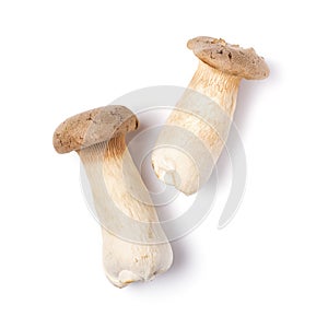 Fresh king oyster or eringi mushrooms for gourmet meal