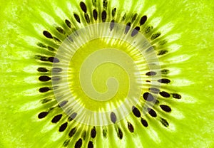 Fresh Kiwi background / SuperMacro